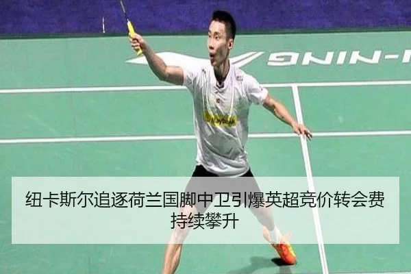 纽卡斯尔追逐荷兰国脚中卫引爆英超竞价转会费持续攀升